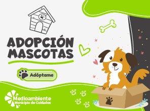 Adopcion-Mascotas-1