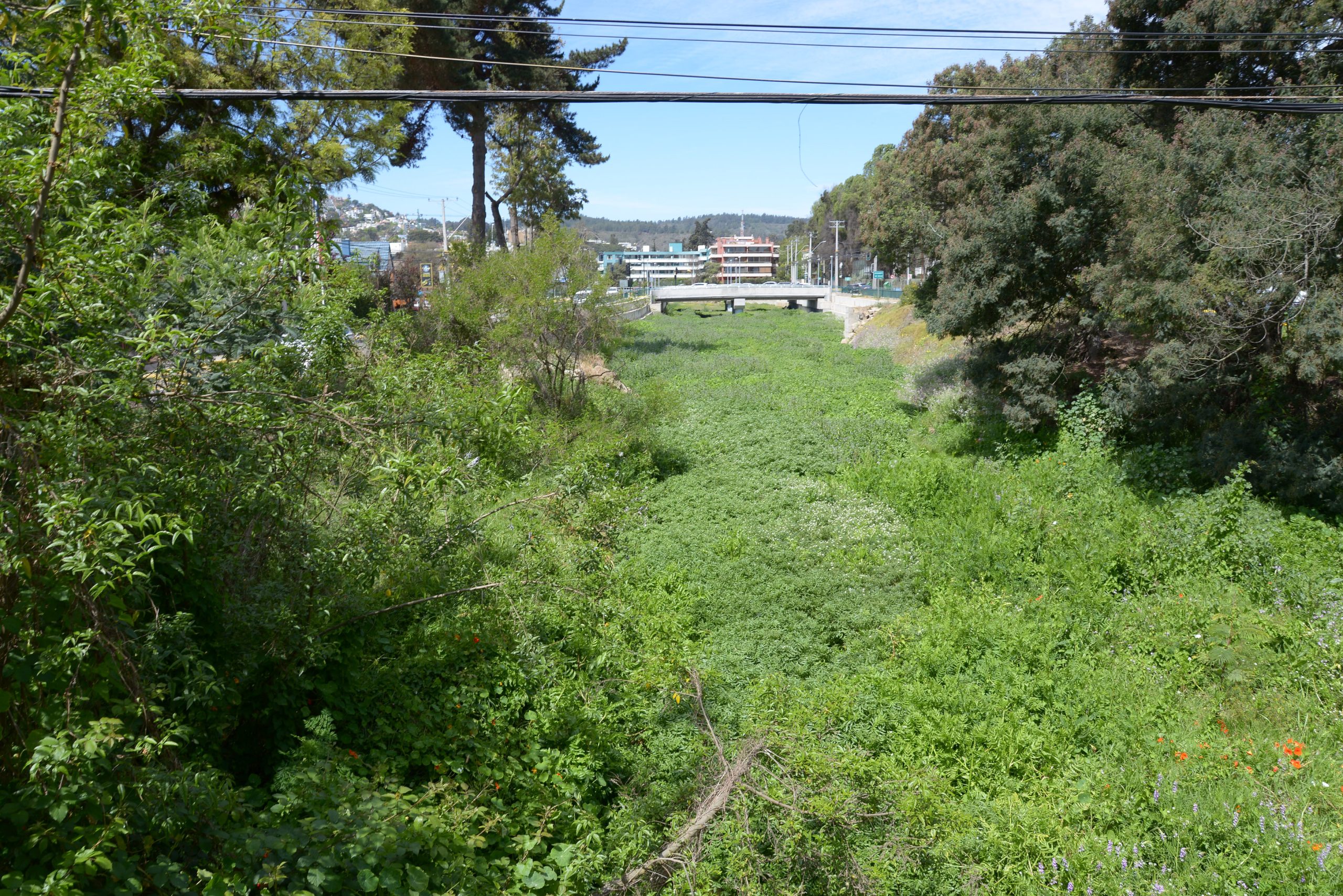 Municipio de Viña del Mar arremete contra obras del estero de Reñaca que estarían dañando el ecosistema