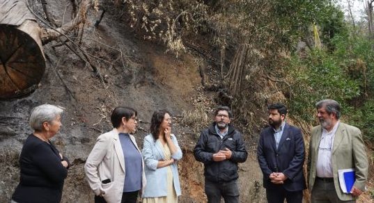 Ministerio de Culturas y Municipio de Cuidados trabajan en protección del patrimonio cultural y natural de Viña del Mar con construcción de cortafuegos   