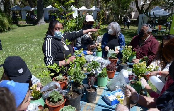 2ª Feria Ambiental de Viña del Mar tendrá su foco en ciudad sustentable, cambio climático y áreas naturales