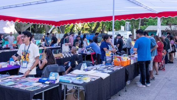 Marea de libros: 1ª feria cultural y ciudadana de Viña del mar en Liceo Bicentenario