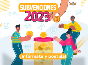 Subvenciones